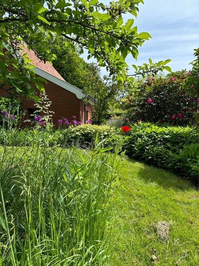Haystackcottage Paterswolde Εξωτερικό φωτογραφία