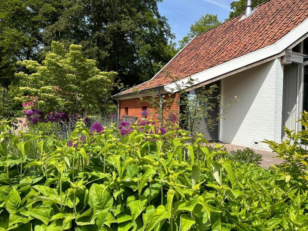 Haystackcottage Paterswolde Εξωτερικό φωτογραφία