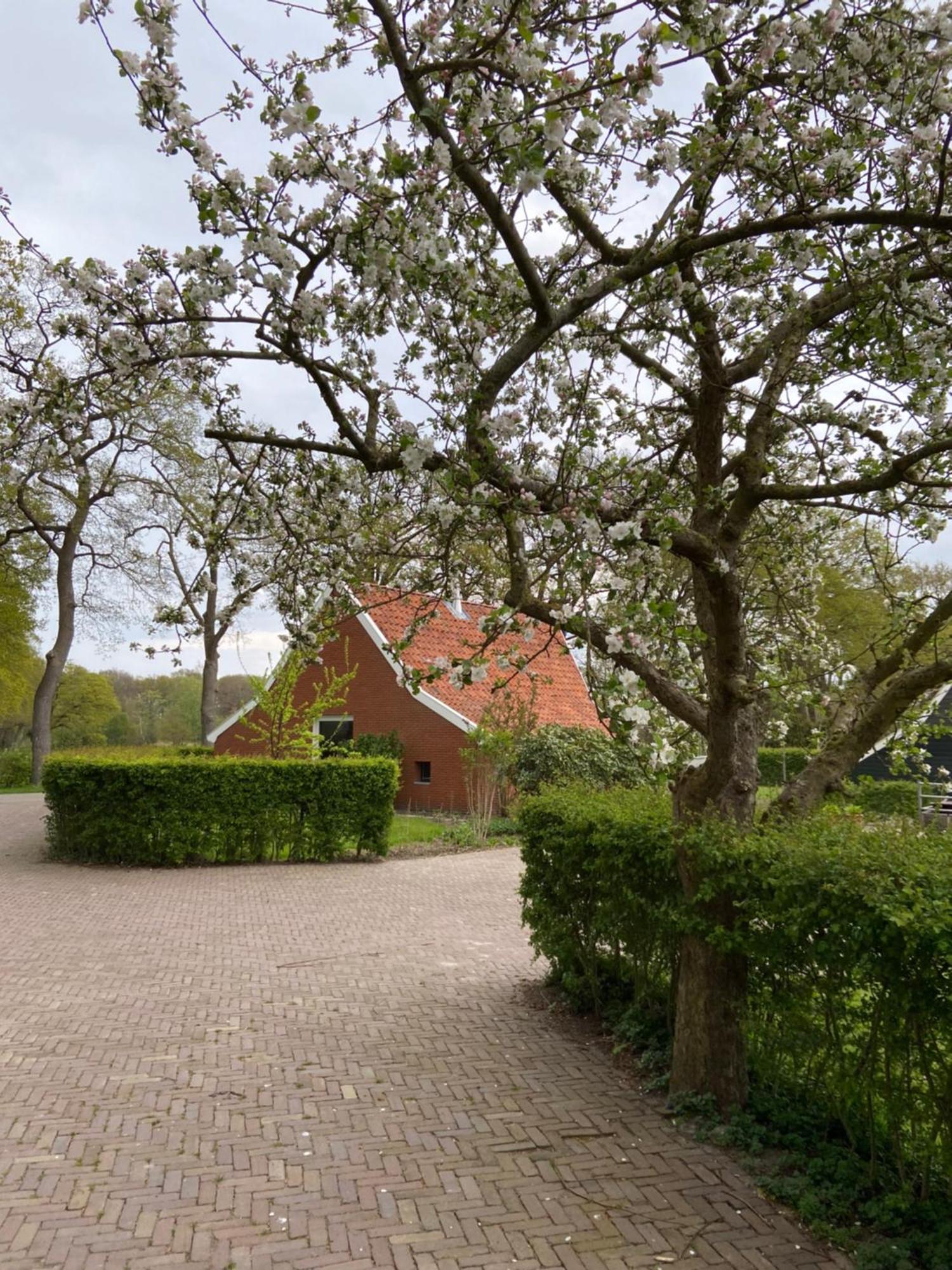 Haystackcottage Paterswolde Εξωτερικό φωτογραφία